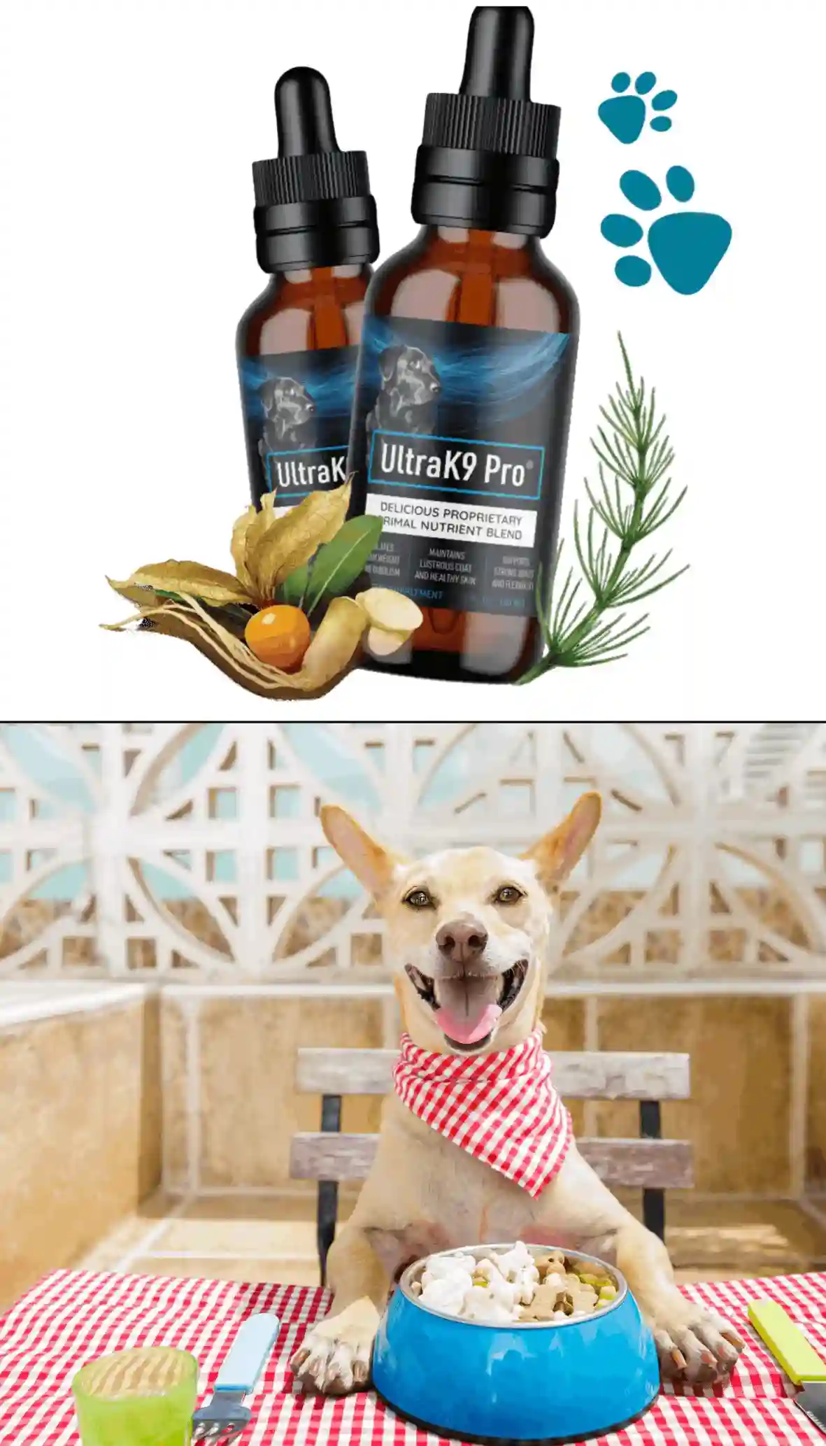 ultrak9-pro supplement